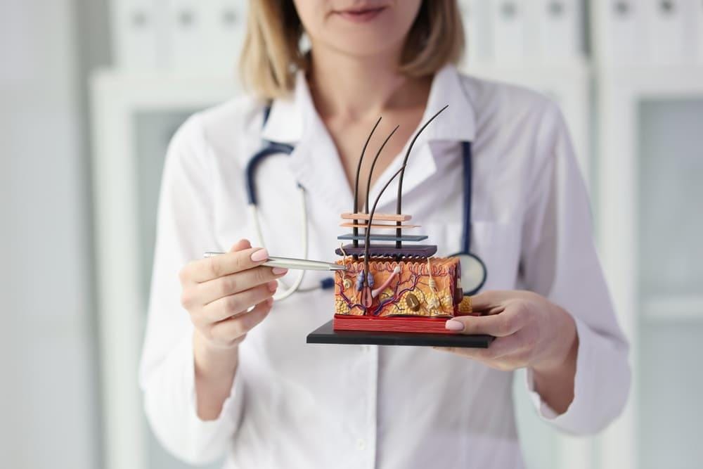 Folículo Capilar: o que é, importância e cuidados