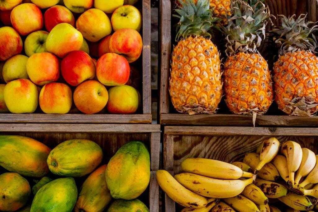 Dieta para lipedema: alimentos para incluir e para evitar